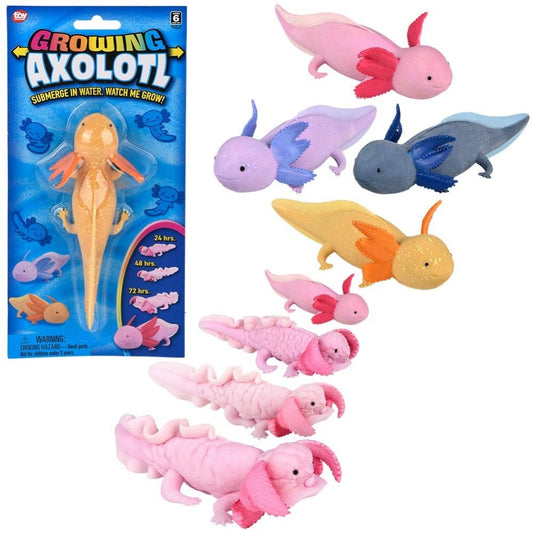 Growing Axolotl - Toy