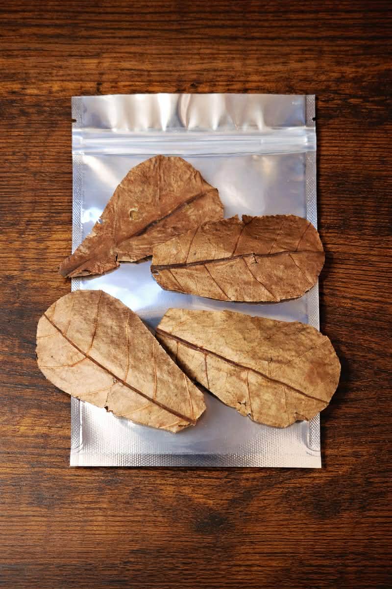 Indian Almond Leaves